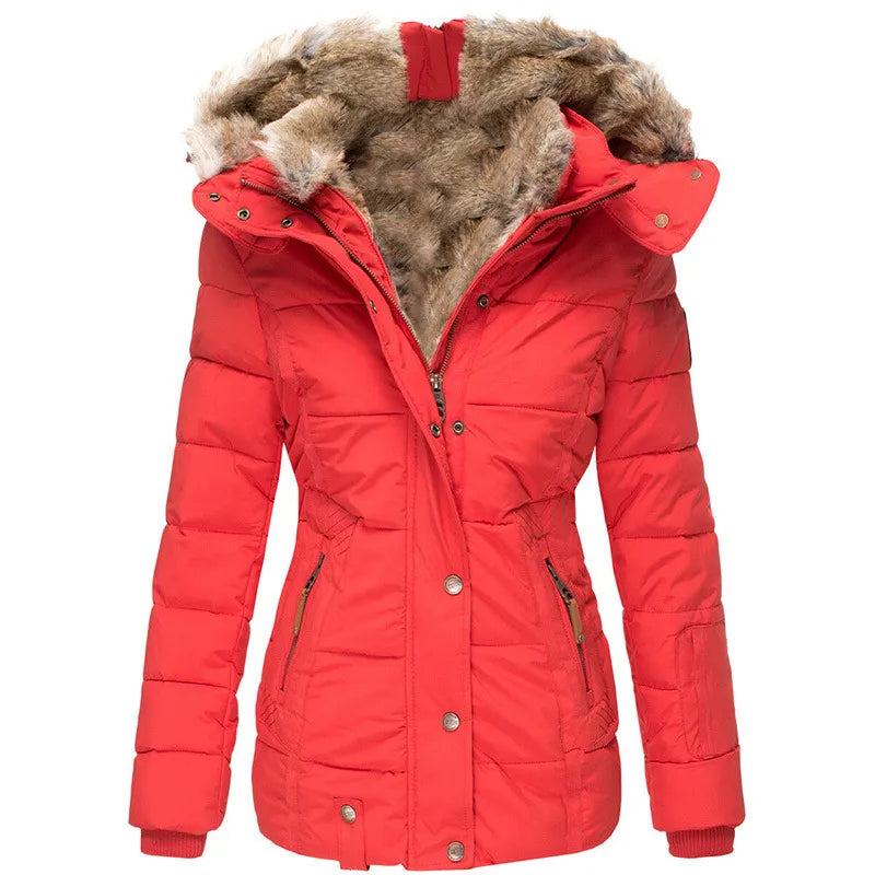 Elegante Damen Winterjacke aus Memory-Imitatstoff, zeitloses Design in Beige, Blau, Grün, Rosa, Rot, Schwarz.