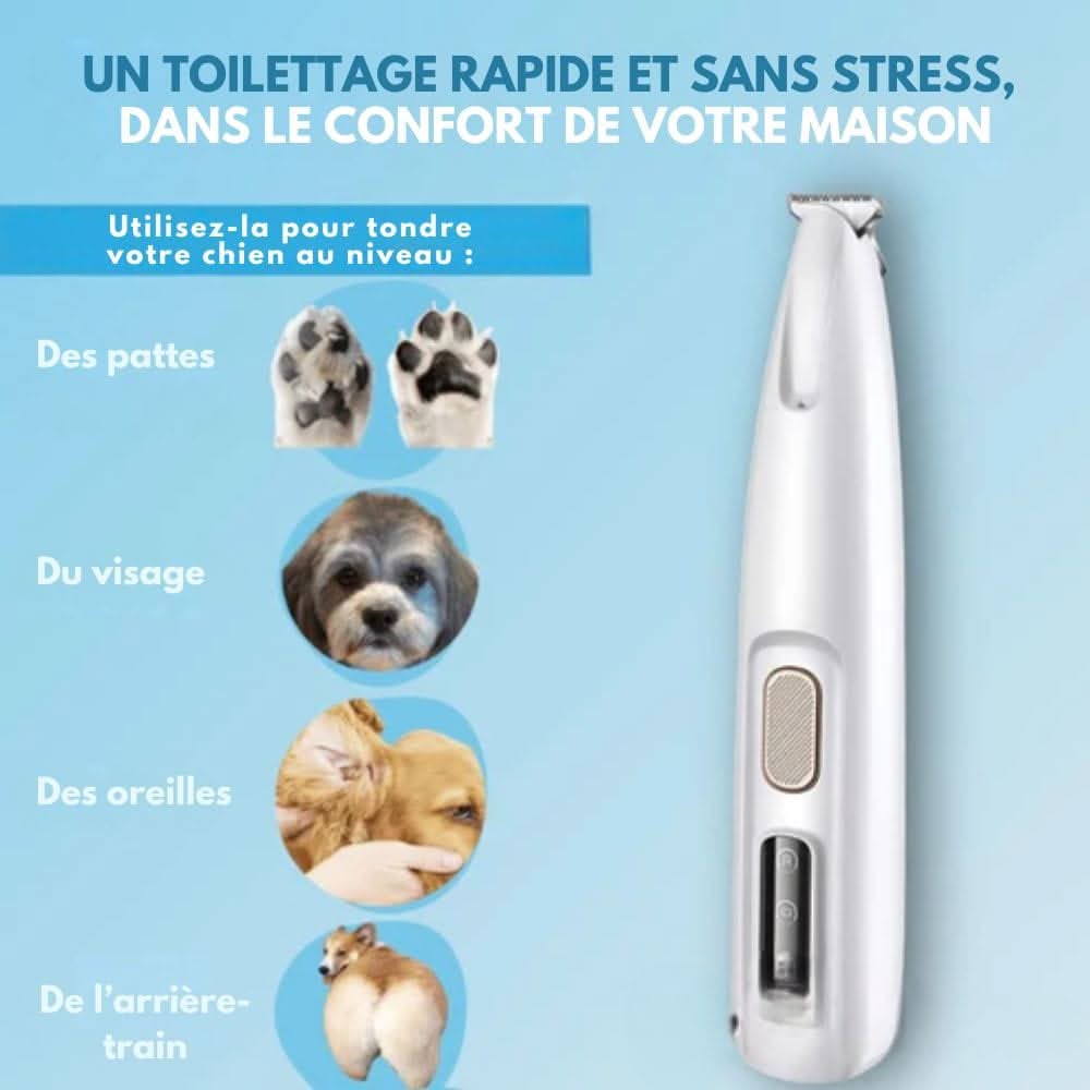 Bruke trimmeren på kjæledyr