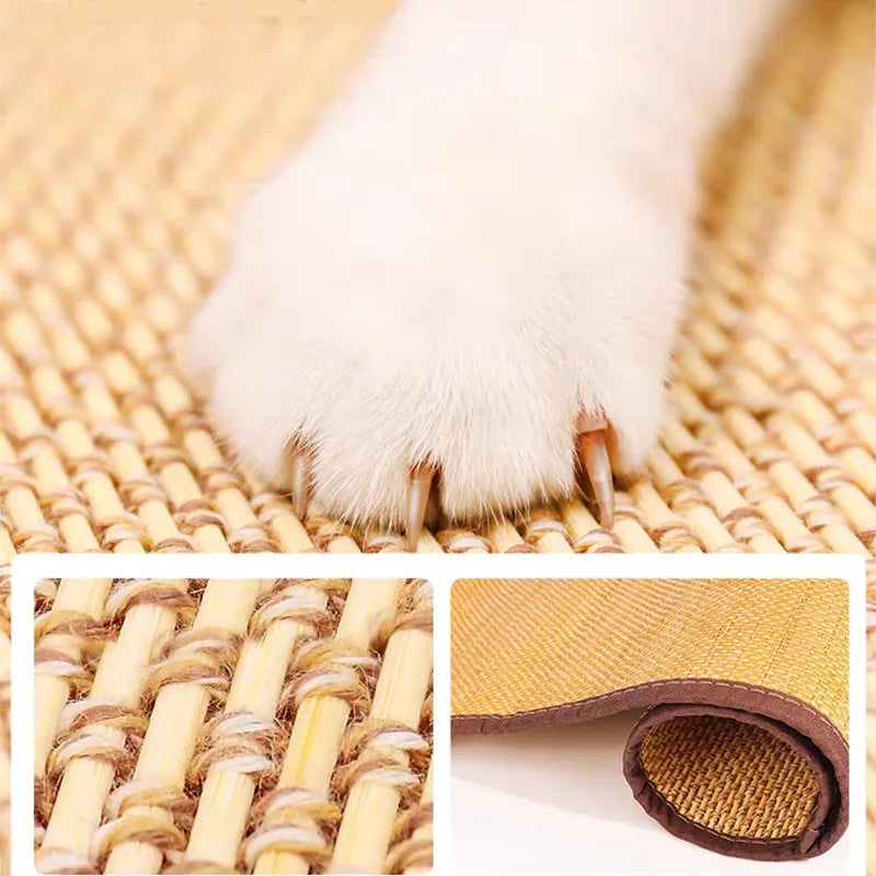 Katzenkratzmatte aus Sisal, robust, beige, ideal für Krallenpflege und Möbelschutz mit integriertem Spielzeug.