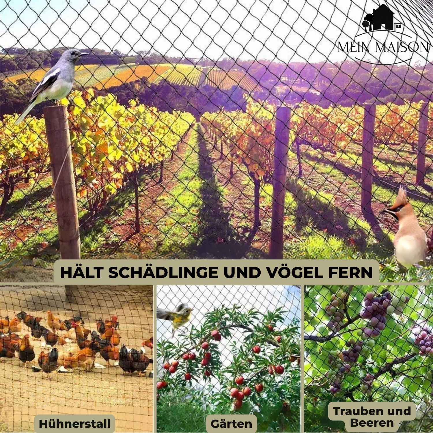 "UV-beständiges, reißfestes Gartennetz für Pflanzenschutz, perfekt für Obstbäume und Beete. Vielseitige Größenanpassung."
